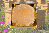 Karakovan Petek Bal:COMB HONEY