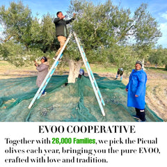 Zeytinyağ soğuk sıkım (Sızma) - Olivolja (Kallpressad) exstra virgin Picual İspanya 3LT