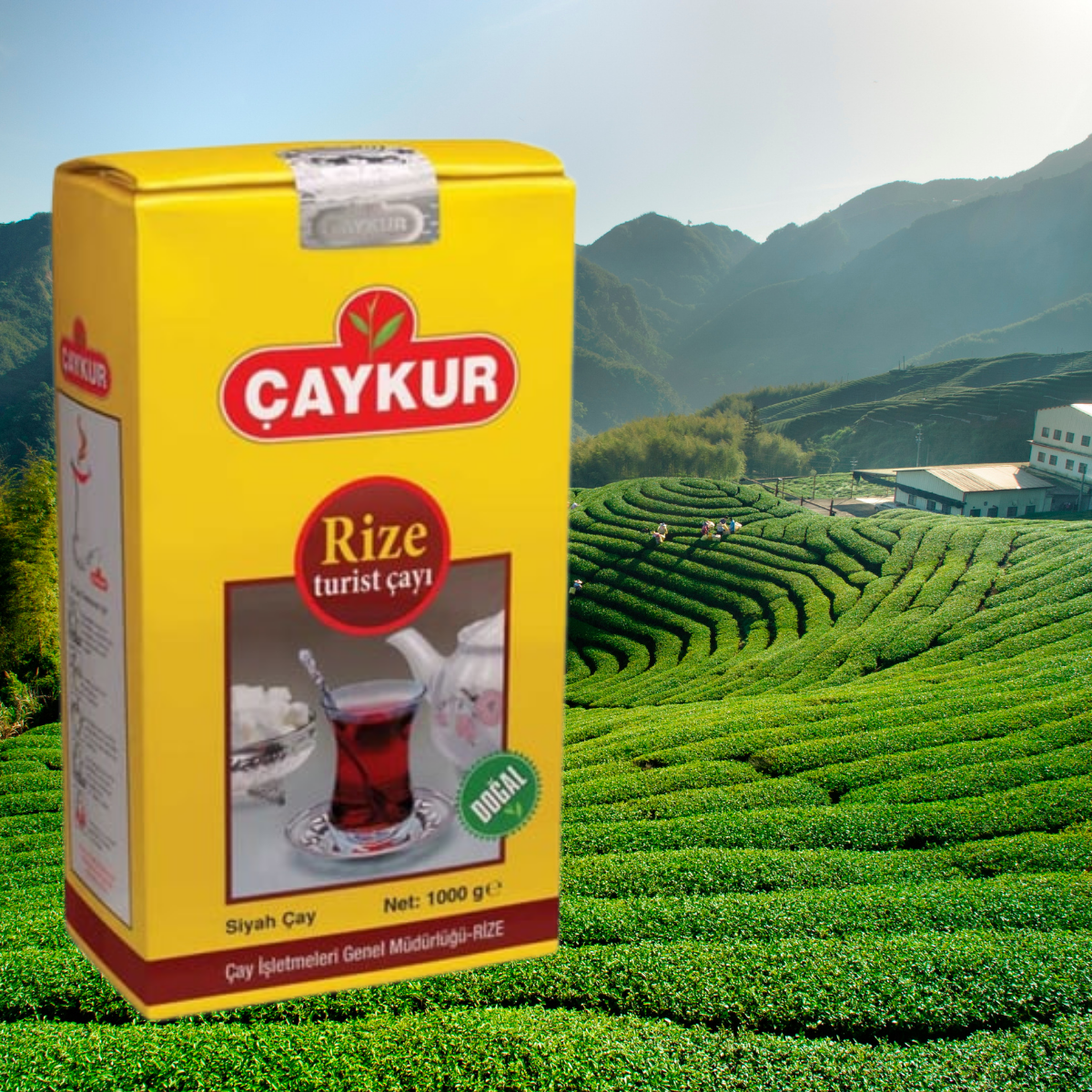 Rize Tourist Tea: 500g