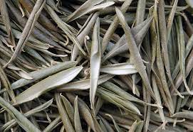 OLIVE LEAVES: 30 GR