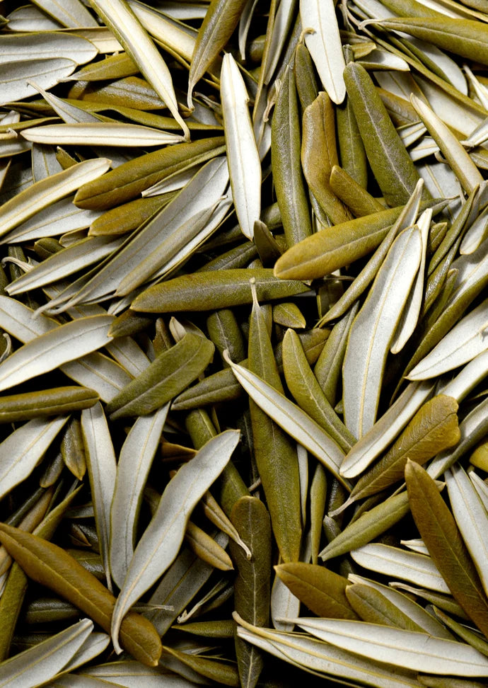 Olive Leaf 30g